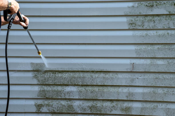 Best Same-Day Junk Removal Services  in Menonee, MI